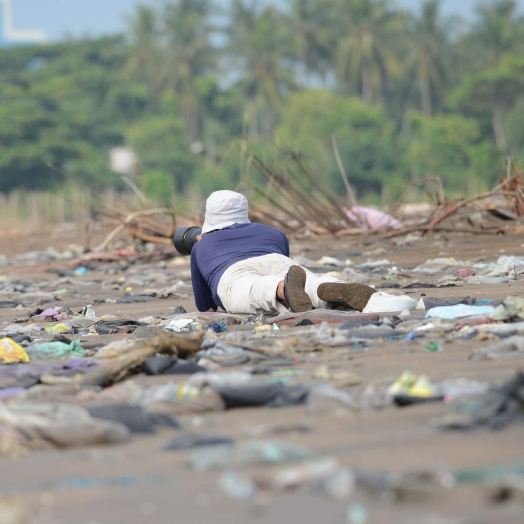 Birder crawling in dirty beach